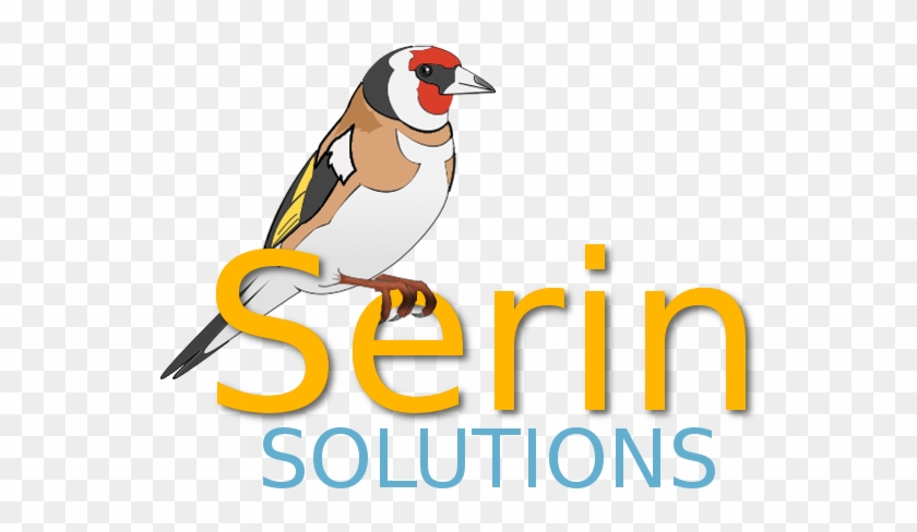 Home - Coaching - European Goldfinch #1402752