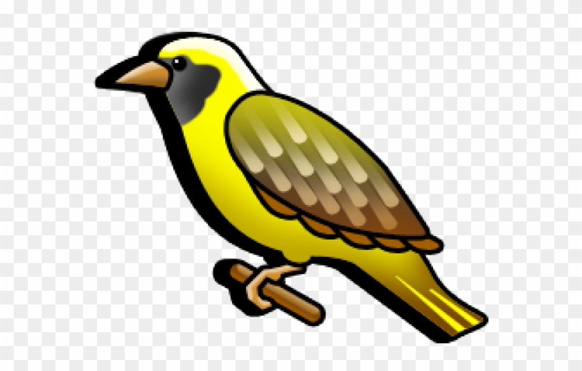 Canary Clipart Weaver Bird - Cartoon Weaver Bird #1402775