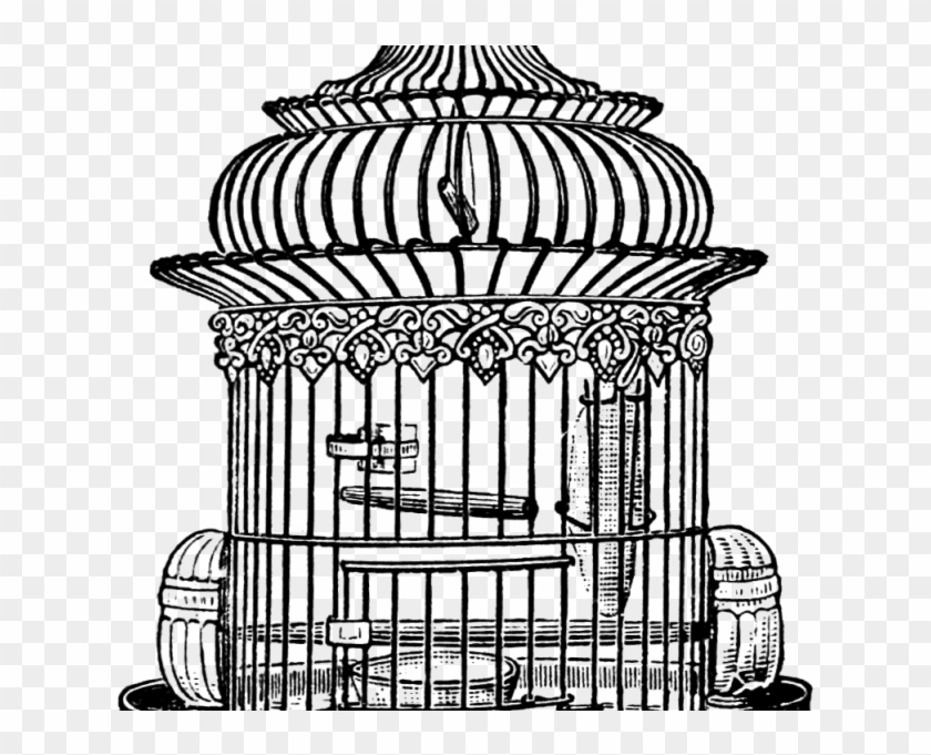 French Vintage Bird Cage - Tampon « Cage D'oiseau » #1403082