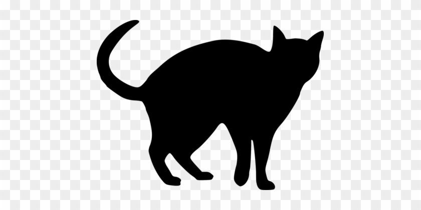 Snowshoe Cat Silhouette Drawing Black Cat Kitten - Petting Dog Vs Cat #1403114