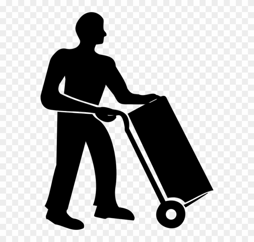 Themes For Beginners Of Brazilian - Vector De Paqueteria #1403132