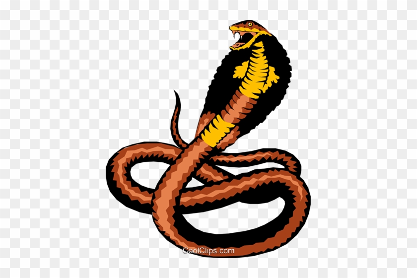 Cobra Royalty Free Vector Clip Art Illustration - Cobra #1403251