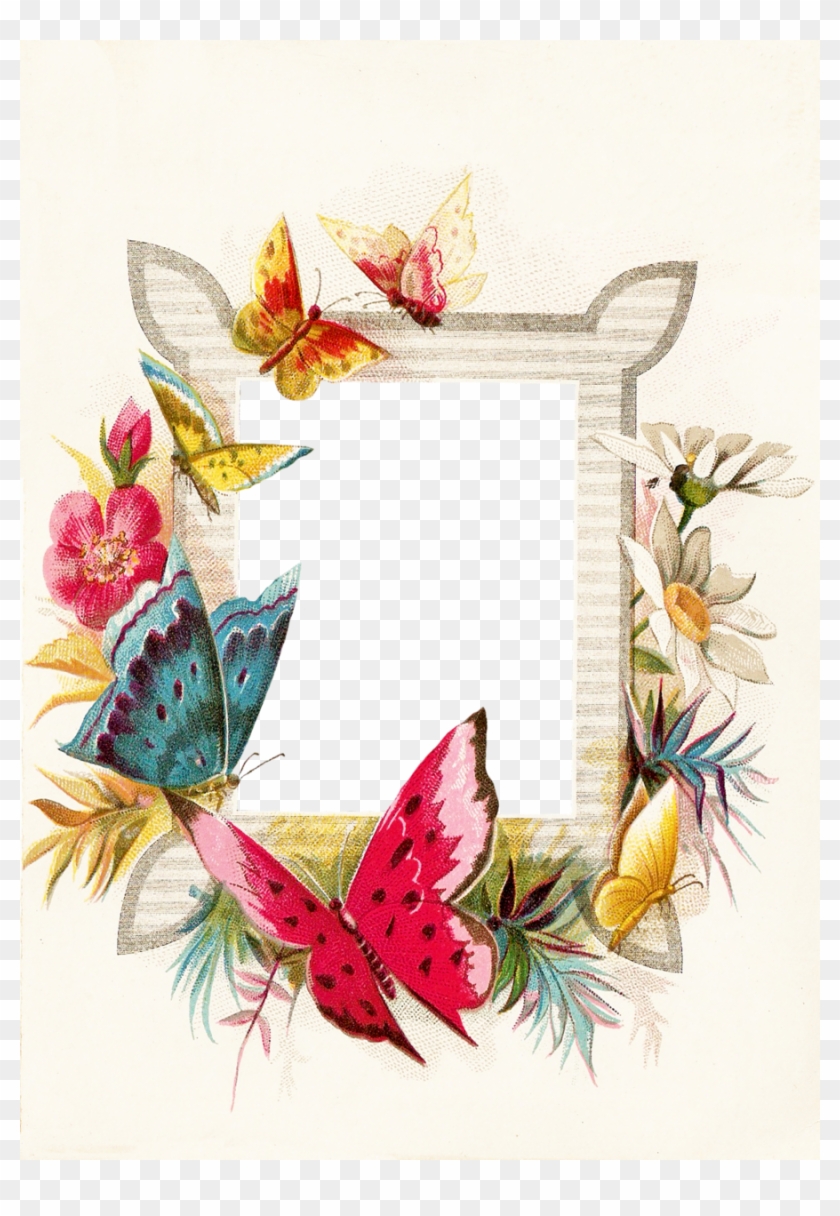 Butterfly Borders And Frames Png Clipart Butterfly - Transparent Butterfly Border #1403468
