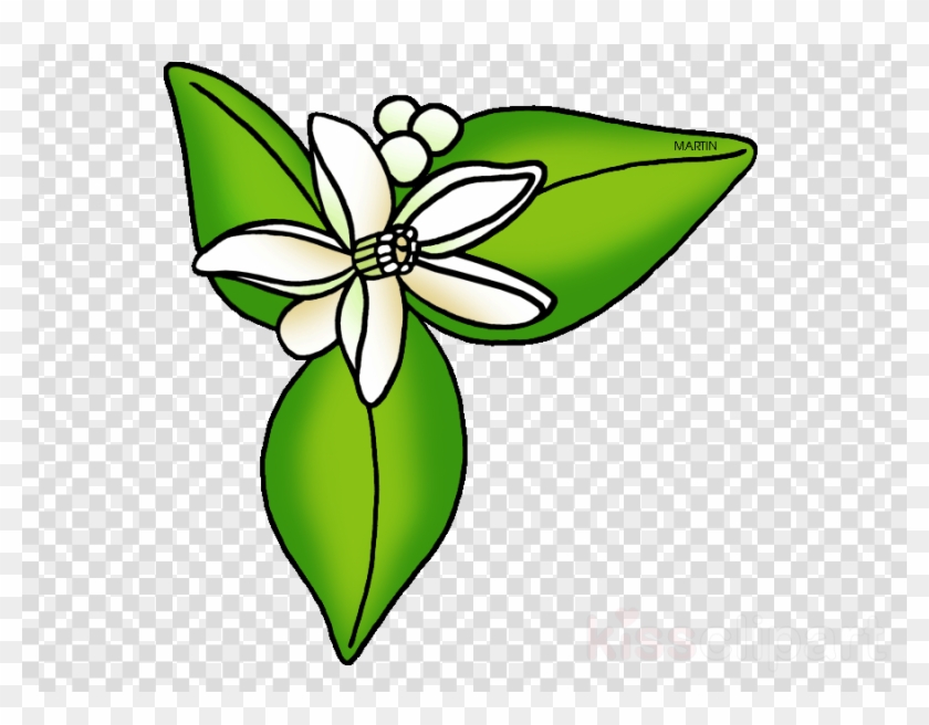 Download Florida Clipart Orange Blossom Clip Art Green - Location Symbol Transparent Background #1403474