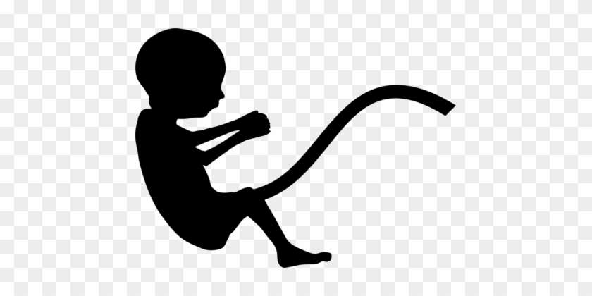 Fetus Silhouette Pregnancy Infant Uterus - Fetus Silhouette Png #1403677