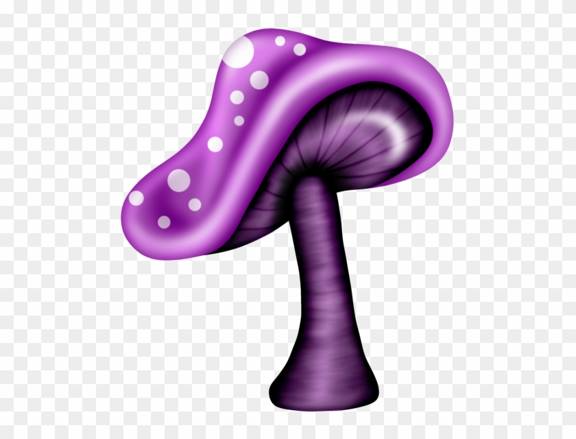 ‿✿⁀shrooms‿✿⁀ Mushroom Art, Fairy Houses, Stuffed Mushrooms, - Mushroom #1403697