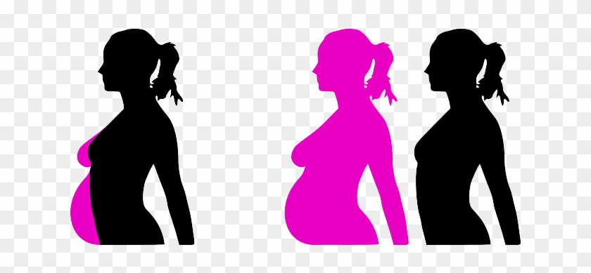 Gynecology - Pregnant Clip Art #1403824