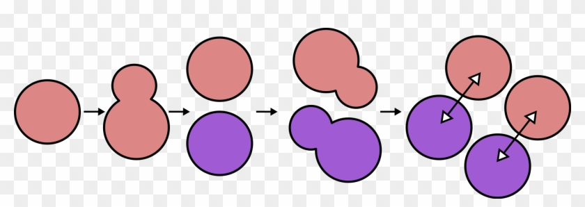 Open - Yeast Svg #1404071