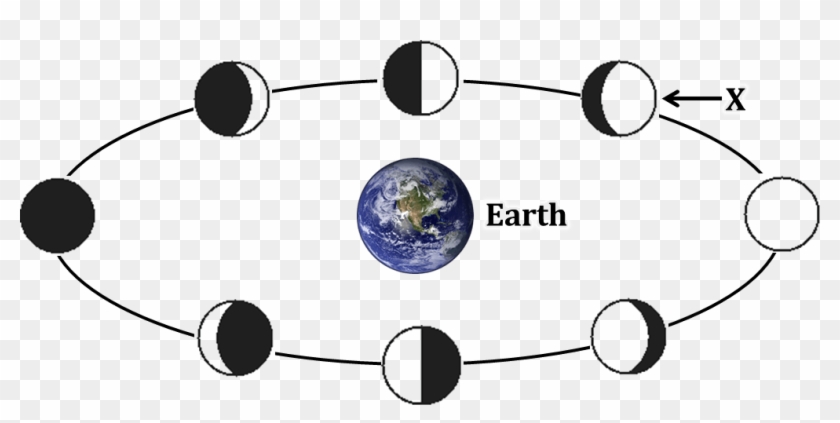 Nso Olympiad Sof Class Earth And Questions - Phases Of The Moon Question #1404364