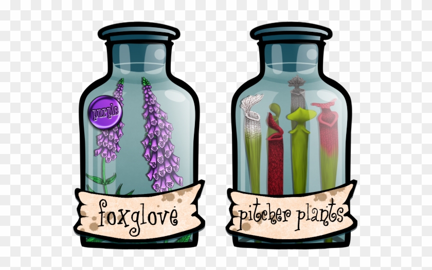 Each Plant Comes In Three Types - Glass Bottle #1404366