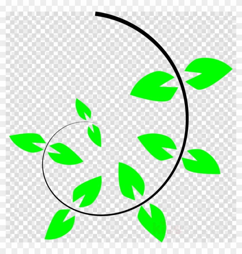 Climber Plant Clipart Vine Clip Art - Climber Plant Clipart #1404436