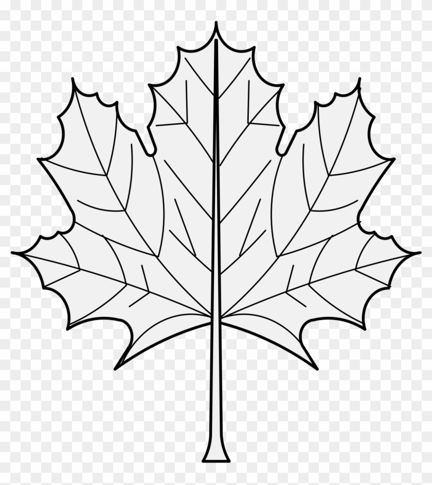 Pdf - Maple Leaf #1404458