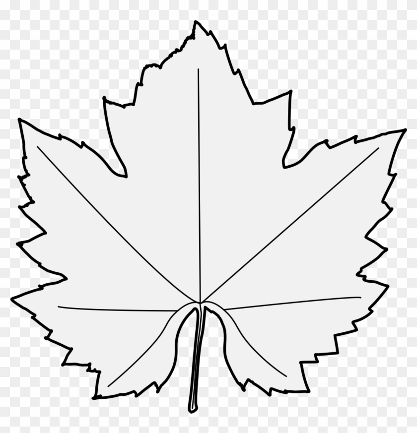 Pdf - Maple Leaf #1404485