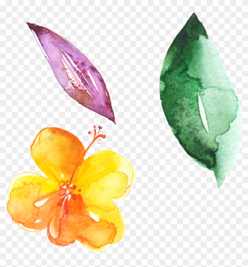 Hand Painted Flowers Green Leaves Beautiful Free Download - Portable Network Graphics #1404489