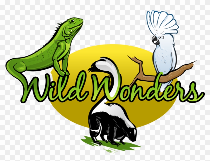 Logo - Wild Wonders Animal Show #1404558