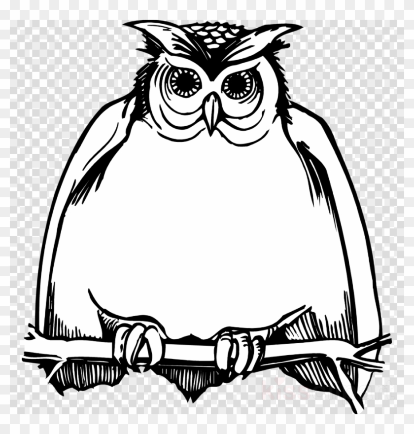 Download Owl Black And White Png Clipart Great Horned - Harry Potter Birthdays Owl #1404824