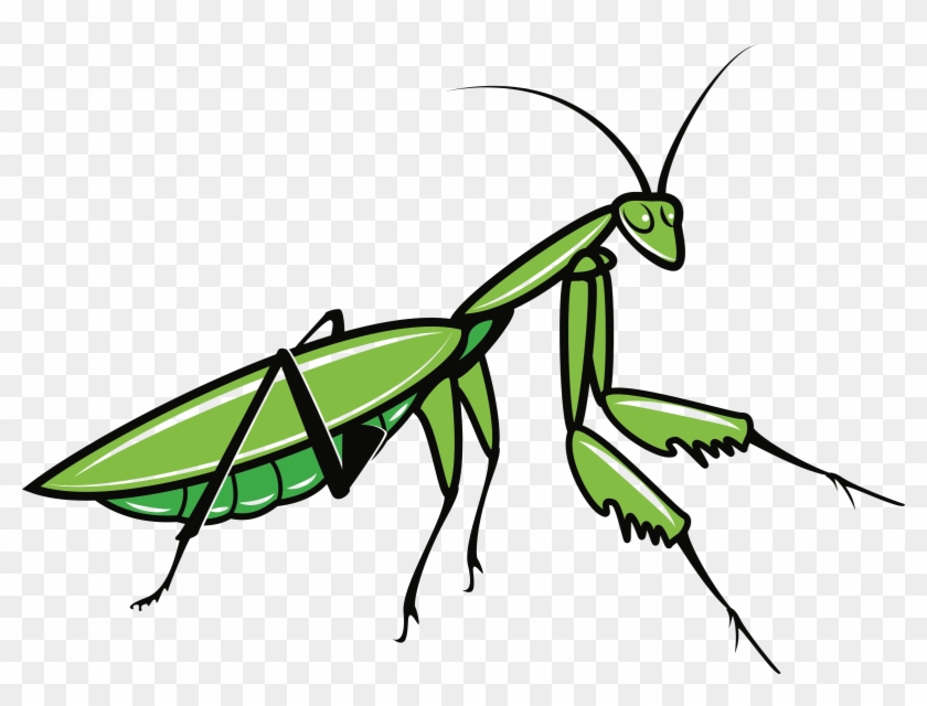 Clipart - Praying Mantis Clipart #1404934