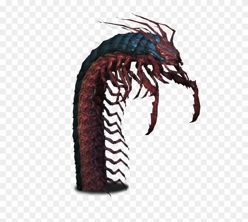 Giant Centipede Witcher Wiki Clipart Library Stock - Witcher Insectoids #1404938