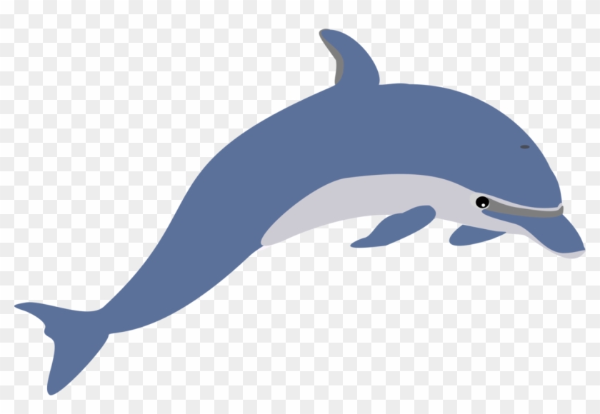 Common Bottlenose Dolphin Spinner Dolphin River Dolphin - Clipart Dolphin #1405173