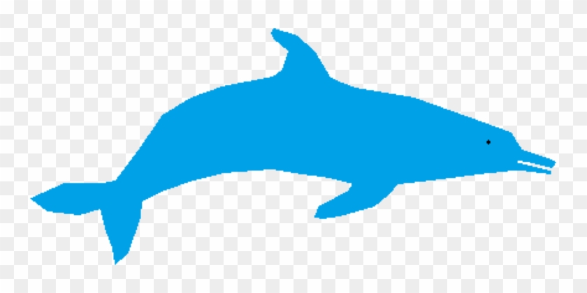 Common Bottlenose Dolphin Computer Icons Tucuxi Whales, - Dolphin #1405176