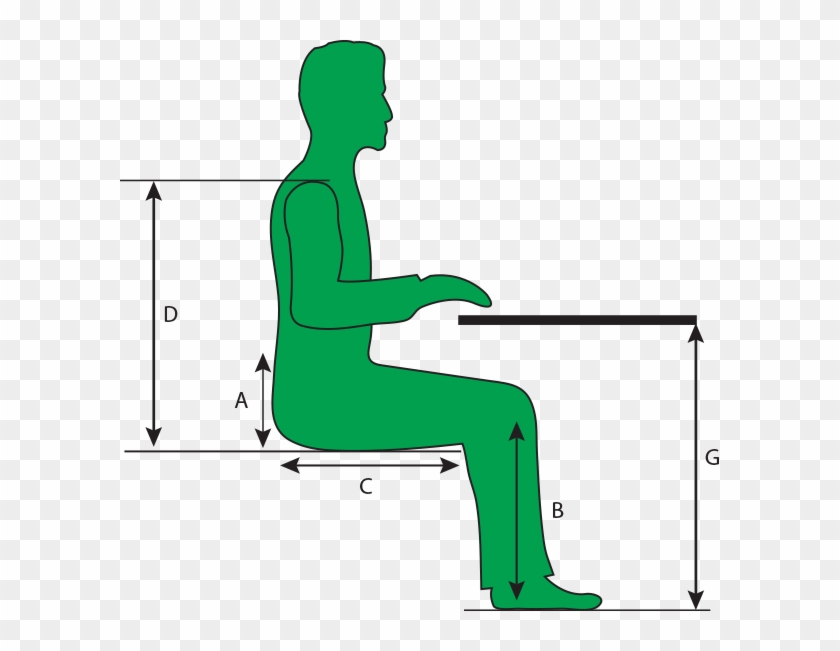 Seating Assessment Online Ergonomics A Height Of - Ergonomics Png #1405267