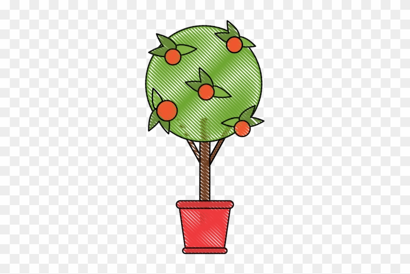 Orange Tree In Bucket - Cartoon #1405445