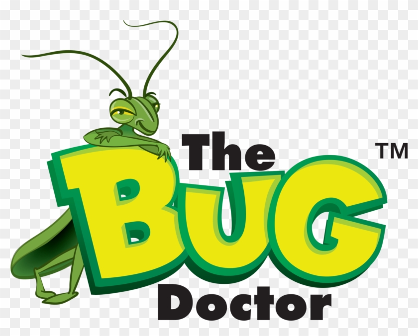Funnel Ruining Your Lawn The Bug Doctor - Bug Doctor #1405622