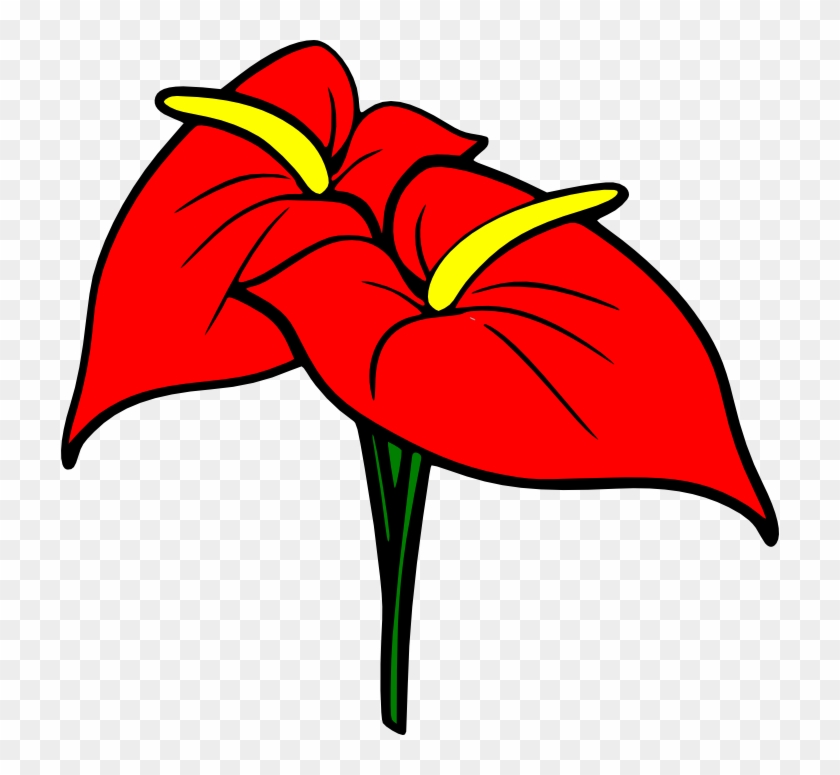 Anthurium - Anthurium #1405960