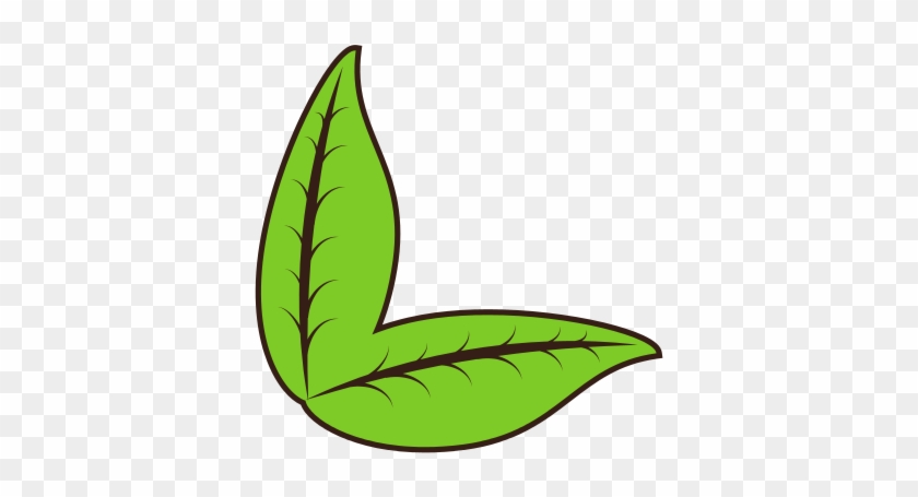 Leaves Organic Food Nature Stamp - Leaves Organic Food Nature Stamp #1406001