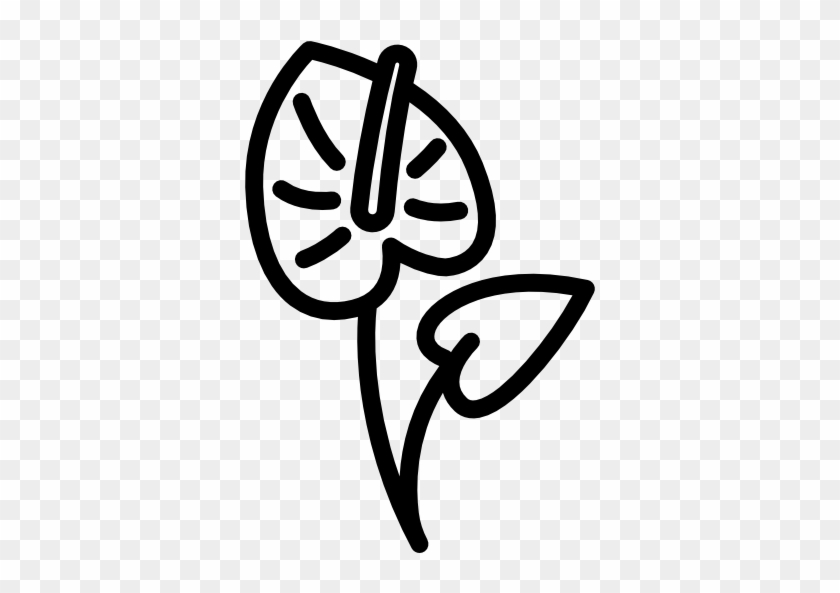 Anthurium Free Icon - Anturio Animado #1406021
