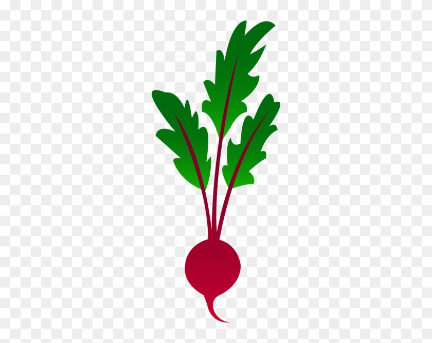 Beet - Beet Clipart #1406031