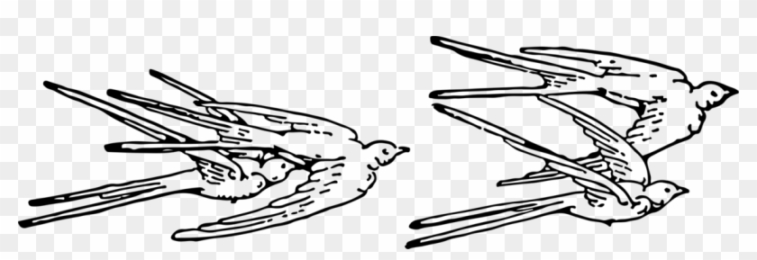Swallow Beak Drawing Line Art /m/02csf - Drawing #1406105