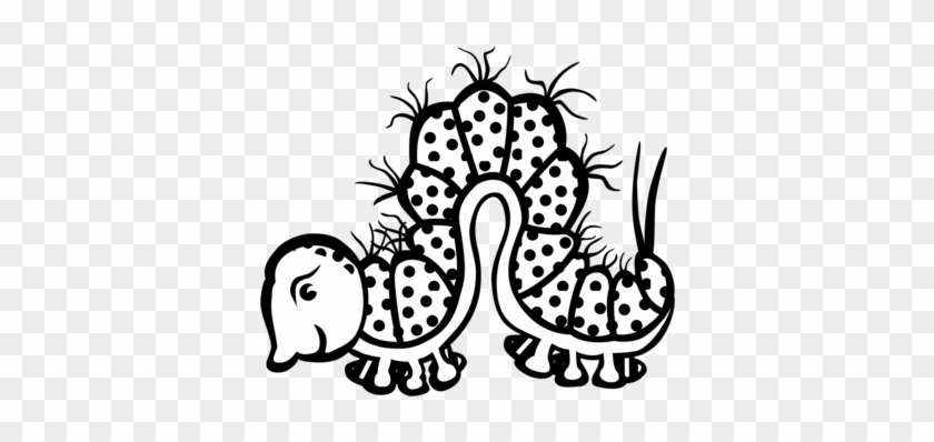 Line Art Drawing Caterpillar Cartoon - Clip Art #1406348