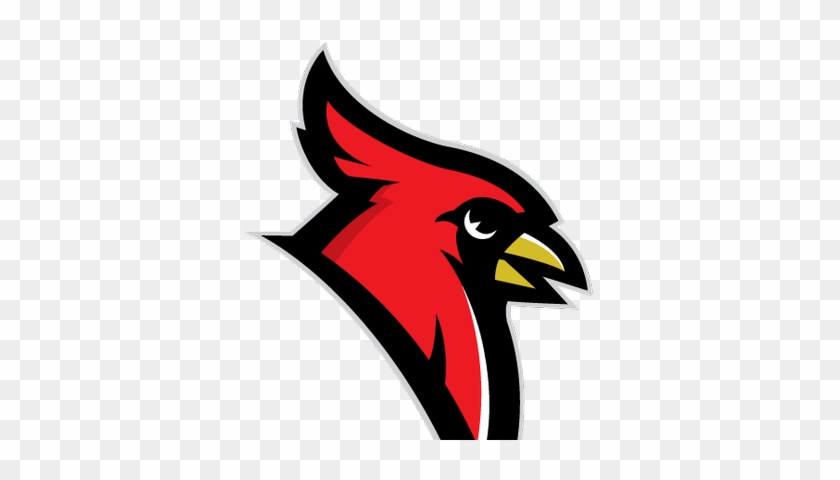 Dryden Schools - Arizona Cardinals Logo Redesign On Behance #1406552