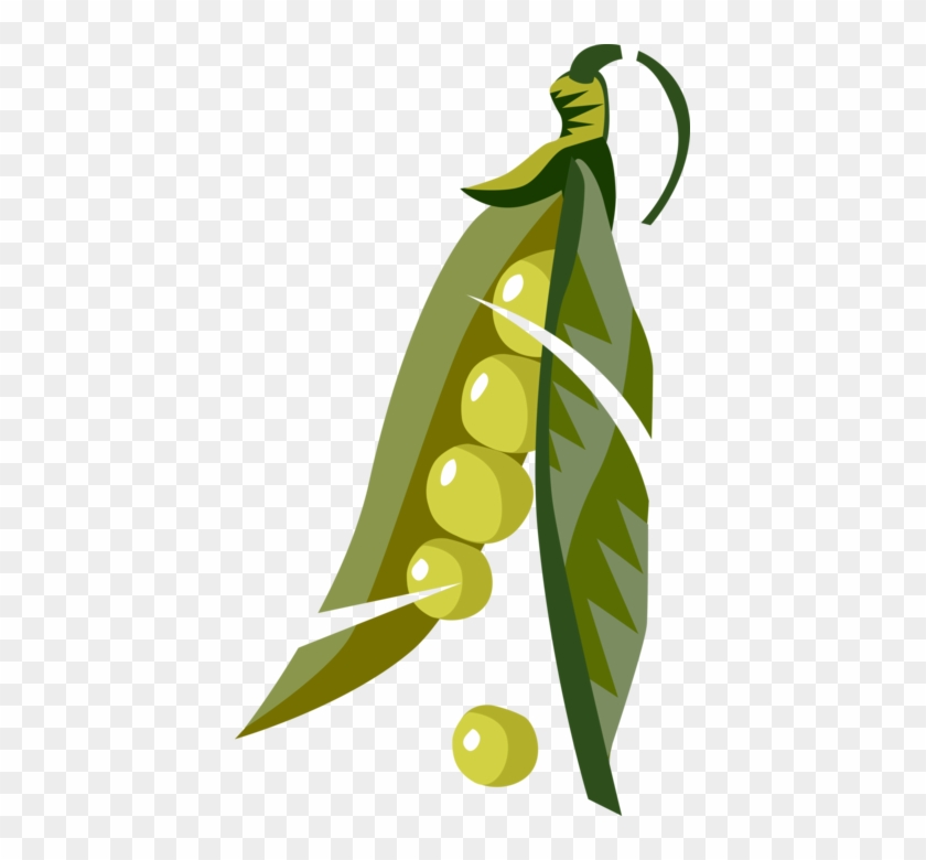 Peas Royalty Free Vector Clip Art Illustration - Peas Royalty Free Vector Clip Art Illustration #1406611