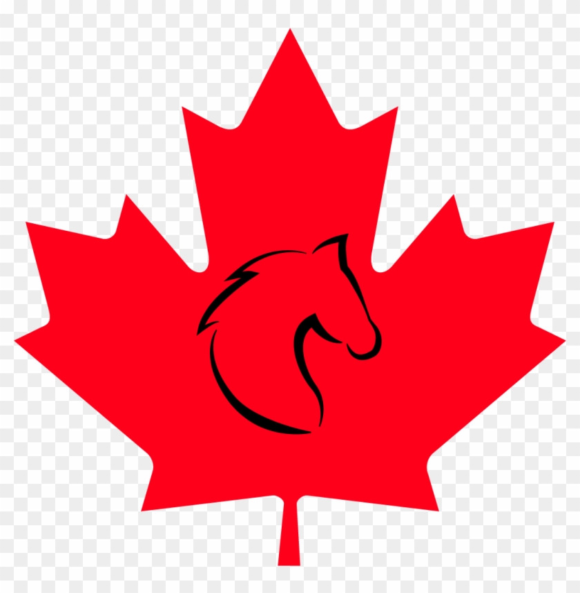 Maple Hill Farm Llc - Canadian Maple Leaf #1406768