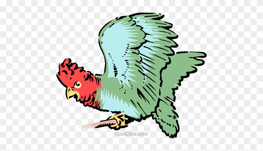 Parrot Royalty Free Vector Clip Art Illustration - Parrot Royalty Free Vector Clip Art Illustration #1406890