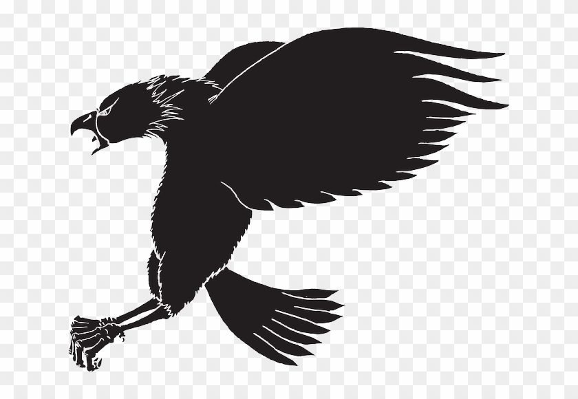 Vulture Vector Eagle Open Wing - Eagle #1406899