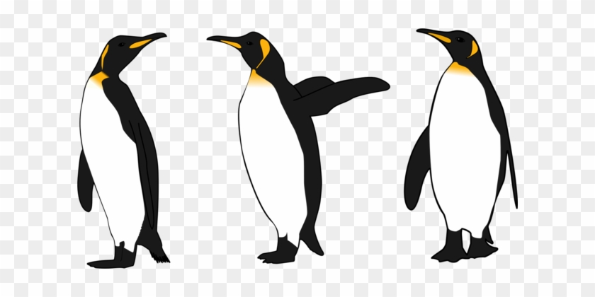 Emperor Penguin Bird King Penguin Gentoo Penguin - Emperor Penguin Clip Art #1406950