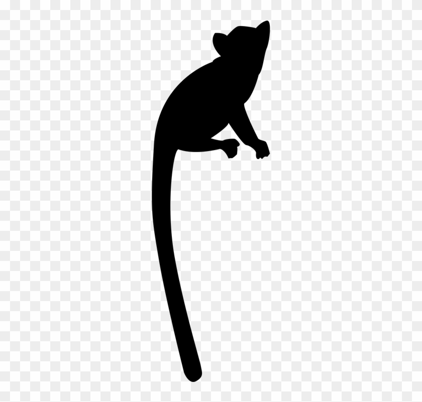 Lemur-1394598 960 - Lemur Silhouette Png #1407372