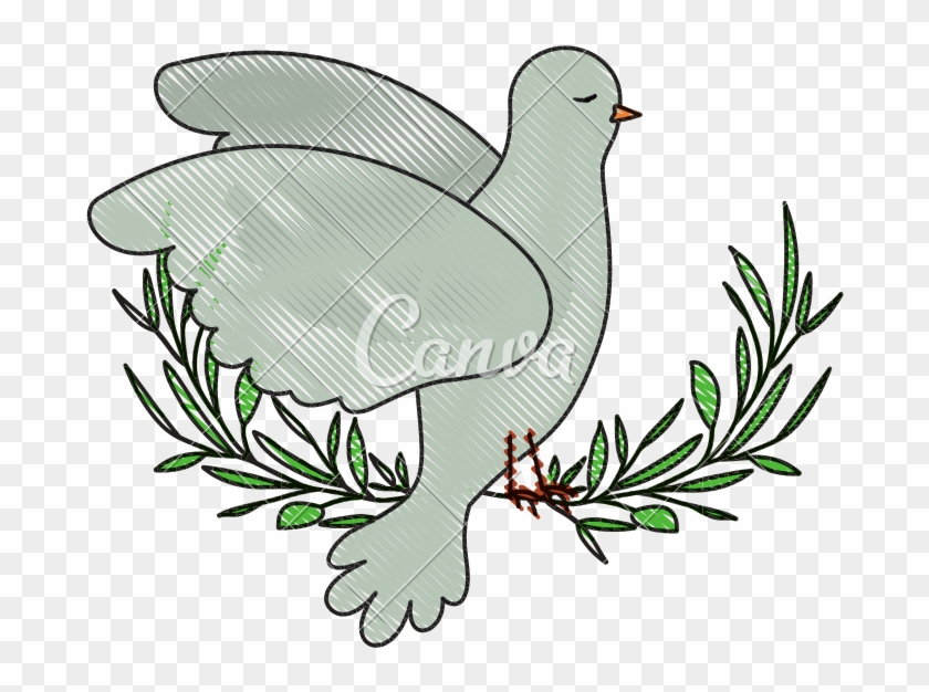 Pigeon Peace Symbol Side View In Olive Branch On Color - Clip Art #1407566
