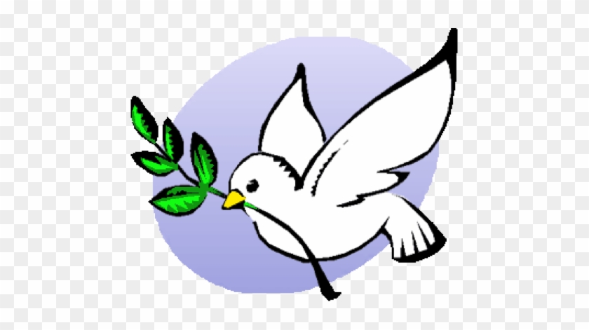 Dove - Dove Peace #1407571