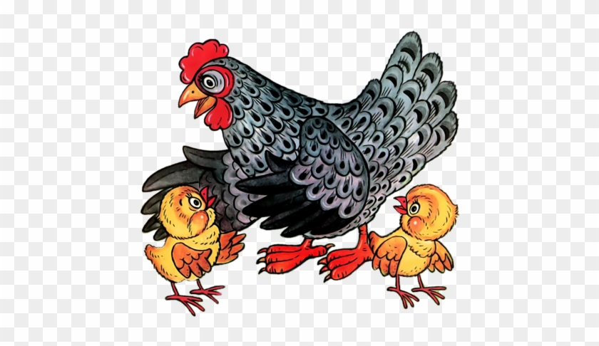Hen And Chicks * - Chicken #1407977