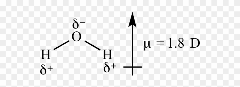 Illustrated Glossary Of Organic - Water Dipole Moment #1408322