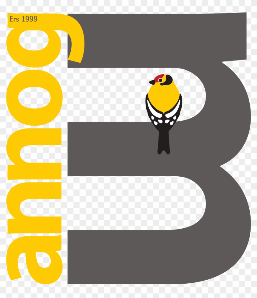 Menter Môn's Commercial Company Offering A Range Of - Menter Môn #1408609