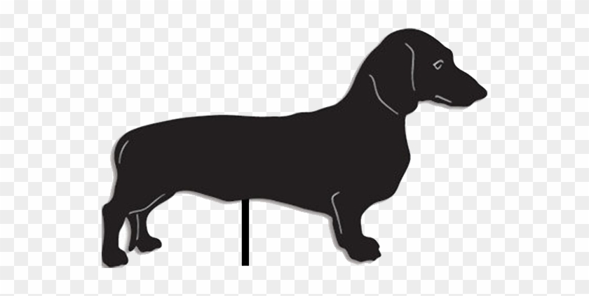 Clip Art Transparent Library Lover Gifts Apparel Jewelry - Dachshund Silhouette #1409057