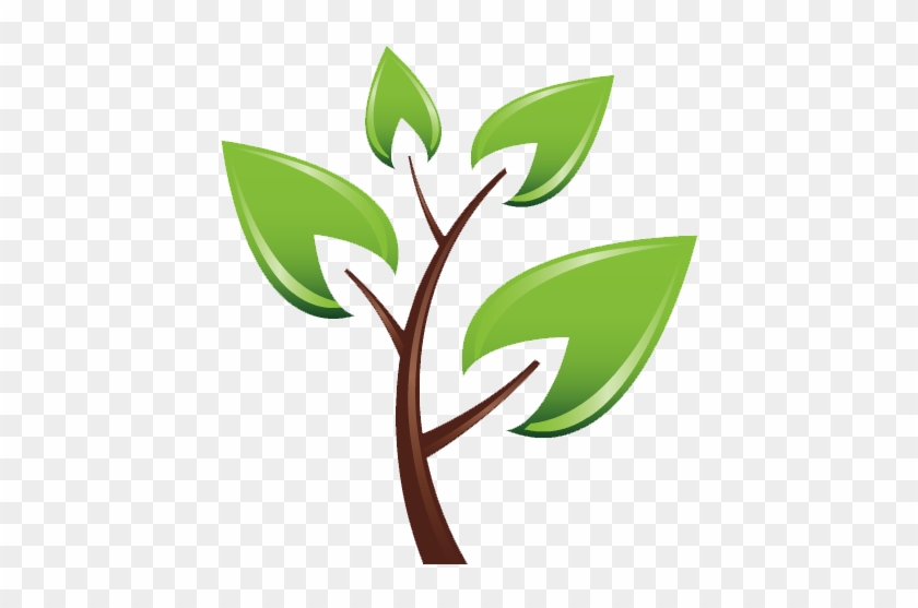 Johnston County Soil And Water - Small Tree Icon Png #1409168