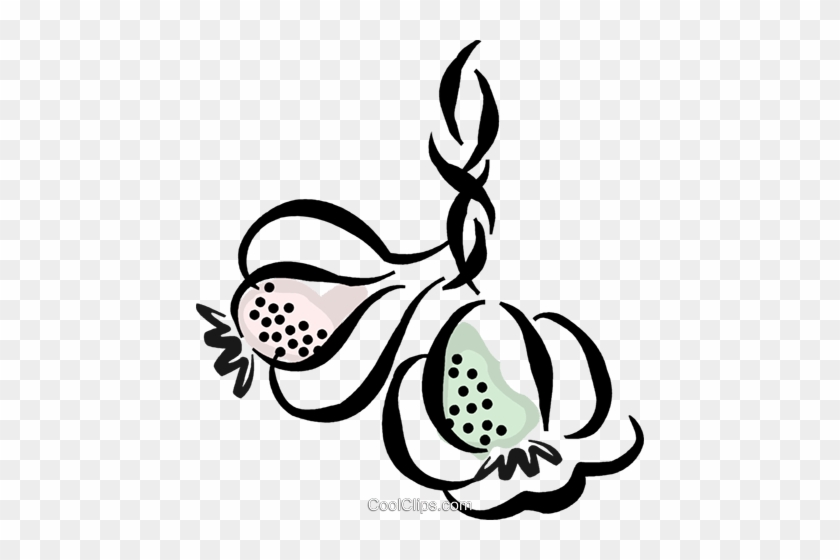 Garlic Cloves Royalty Free Vector Clip Art Illustration - Garlic Vector Png #1409184