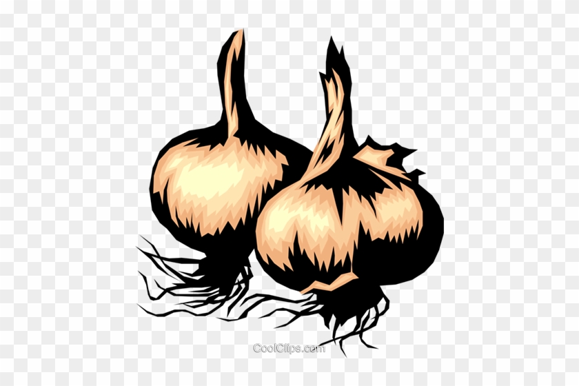 Garlic Cloves Royalty Free Vector Clip Art Illustration - Onion Clip Art #1409186