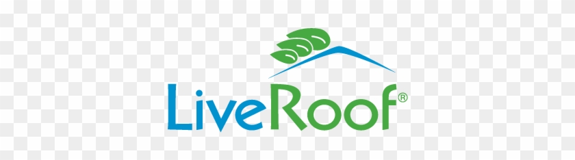 Livewall Is Brought To You By The Same Team As These - Live Roof #1409376